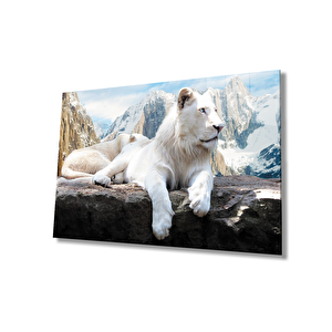 Aslan Cam Tablo 90x60 cm