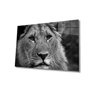 Aslan Cam Tablo 36x23 cm