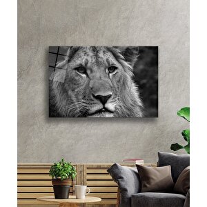 Aslan Cam Tablo 36x23 cm