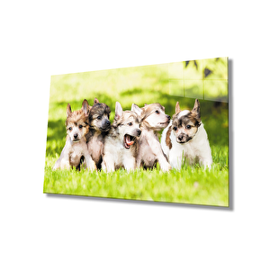 Köpekler Cam Tablo 36x23 cm