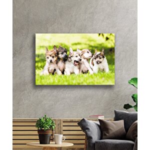 Köpekler Cam Tablo 36x23 cm