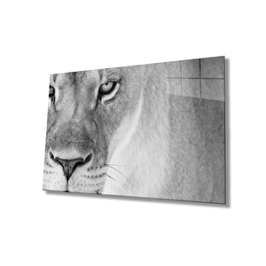 Aslan Cam Tablo 50x70 cm