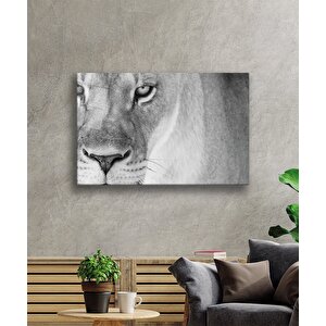 Aslan Cam Tablo 50x70 cm