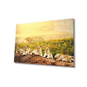 Aslan Cam Tablo 50x70 cm