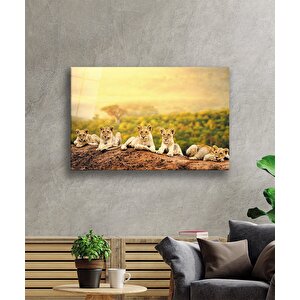 Aslan Cam Tablo 50x70 cm
