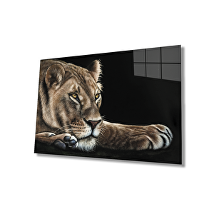 Aslan Cam Tablo 50x70 cm
