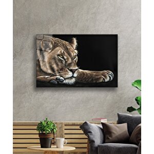Aslan Cam Tablo 50x70 cm