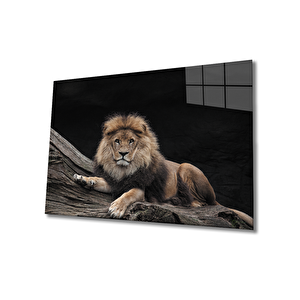 Aslan Cam Tablo 110x70 cm