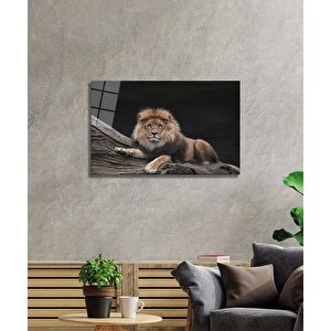 Aslan Cam Tablo 110x70 cm