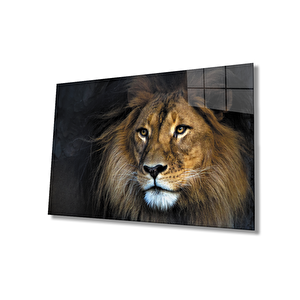 Aslan Cam Tablo 36x23 cm