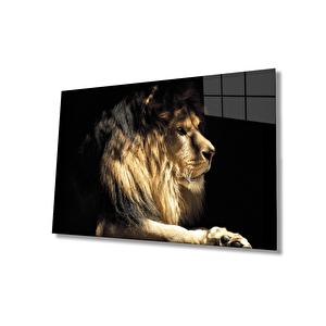 Aslan Cam Tablo 36x23 cm