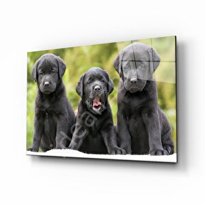 Köpekler Cam Tablo 110x70 cm