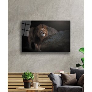 Aslan Cam Tablo 50x70 cm