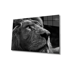 Aslan Cam Tablo 50x70 cm