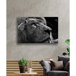 Aslan Cam Tablo 50x70 cm