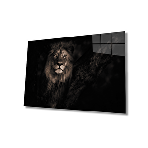 Aslan Cam Tablo 36x23 cm