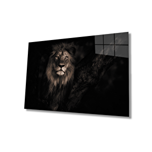 Aslan Cam Tablo 50x70 cm