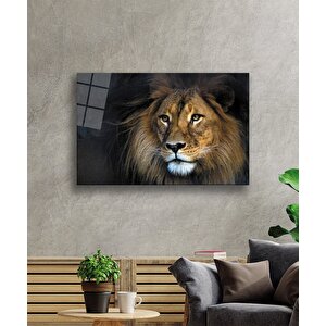 Aslan Cam Tablo 50x70 cm