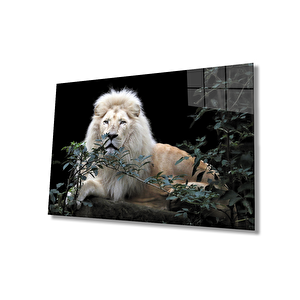 Aslan Cam Tablo 36x23 cm