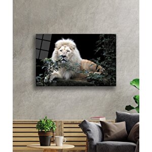 Aslan Cam Tablo 36x23 cm