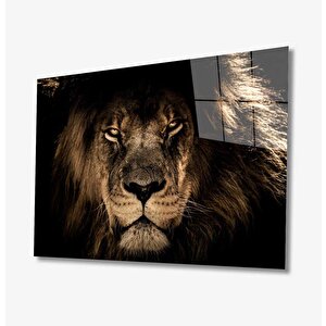 Aslan Cam Tablo 50x70 cm