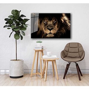 Aslan Cam Tablo 50x70 cm