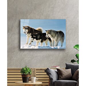 Kurt Köpeği Cam Tablo 36x23 cm