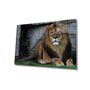 Aslan Cam Tablo 50x70 cm