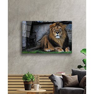 Aslan Cam Tablo 50x70 cm