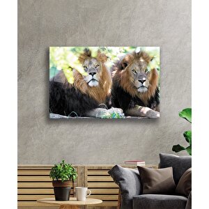 Aslan Cam Tablo 50x70 cm