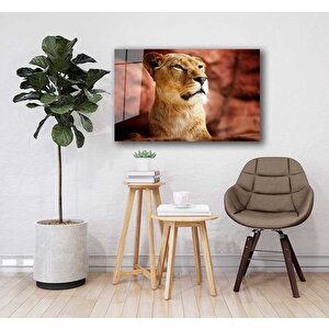 Aslan Cam Tablo 36x23 cm