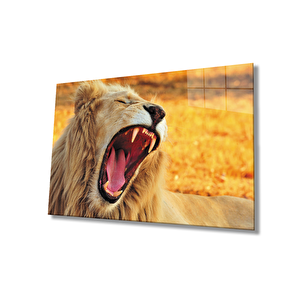 Aslan Cam Tablo 50x70 cm