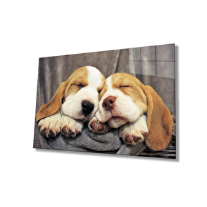 Uyuyan Köpekler Cam Tablo 50x70 cm