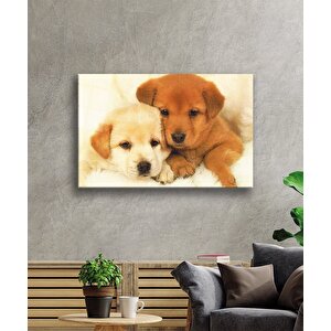 Köpekler Cam Tablo 50x70 cm