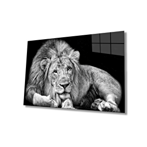 Aslan Cam Tablo 50x70 cm
