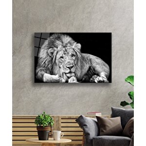 Aslan Cam Tablo 50x70 cm