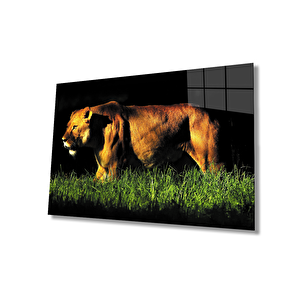 Aslan Cam Tablo 36x23 cm