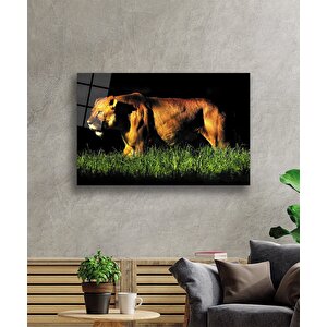 Aslan Cam Tablo 36x23 cm