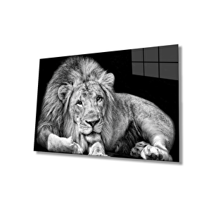 Aslan Cam Tablo 90x60 cm