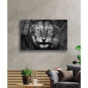 Aslan Cam Tablo 36x23 cm