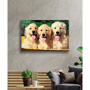Köpekler Cam Tablo 36x23 cm