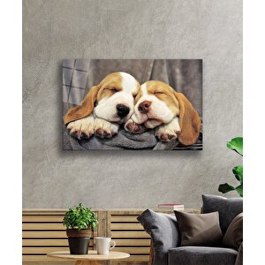 Uyuyan Köpekler Cam Tablo 36x23 cm