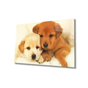 Köpekler Cam Tablo 36x23 cm