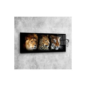 Aslan, Leopar Ve Kaplan Panoramik Cam Tablo 35x90 cm