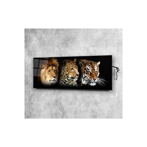 Aslan, Leopar Ve Kaplan Panoramik Cam Tablo 35x90 cm