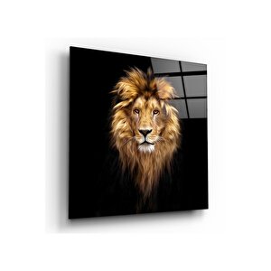 Aslan Cam Tablo 50x50 cm