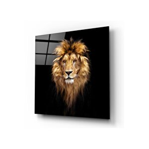 Aslan Cam Tablo 50x50 cm