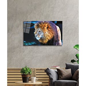 Aslan Cam Tablo 90x60 cm