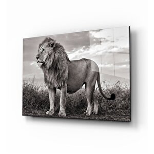 Aslan Cam Tablo