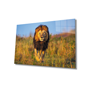 Aslan Cam Tablo 36x23 cm